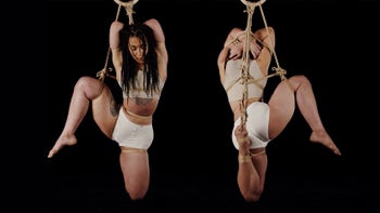 Bunny Suspension