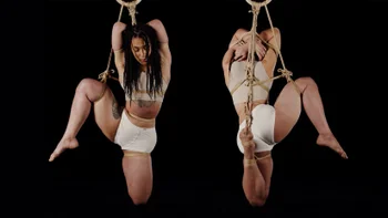 Bunny Suspension