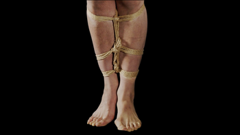 Shin Lacing Harness