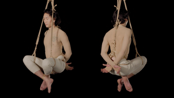 Flying Lotus Suspension