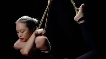 Neck Hug Harness
