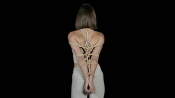 Armbinders For Everyone 